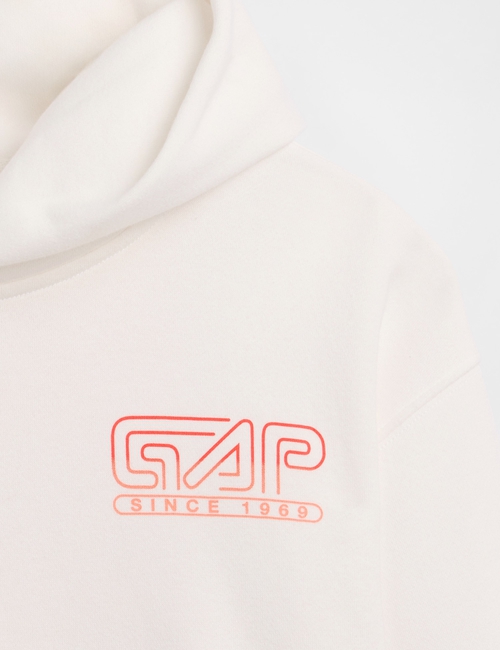 FSH GRAPHIC PO HOOD