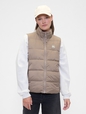 ColdControl Puffer Vest