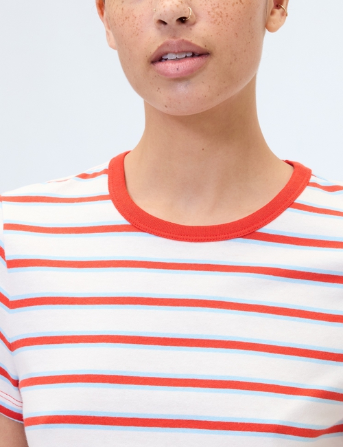 Favorite Stripe Crewneck T-Shirt