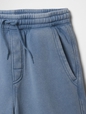 Kids Washed-Fleece Pull-On Shorts