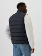 ColdControl Puffer Vest