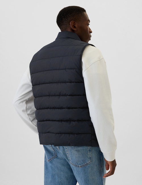 ColdControl Puffer Vest