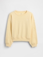 Kids VintageSoft Wedge Crewneck Sweatshirt