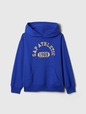 Kids Gap Athletic Logo Hoodie