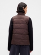 ColdControl Puffer Vest