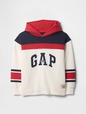 Vintage Soft French Terry Colorblock Logo Hoodie