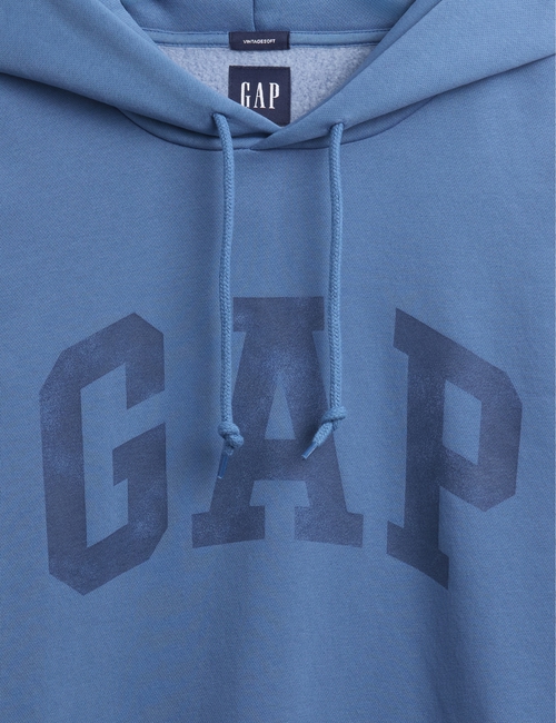 VintageSoft Arch Logo Hoodie