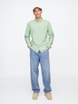 Oxford Shirt in Standard Fit