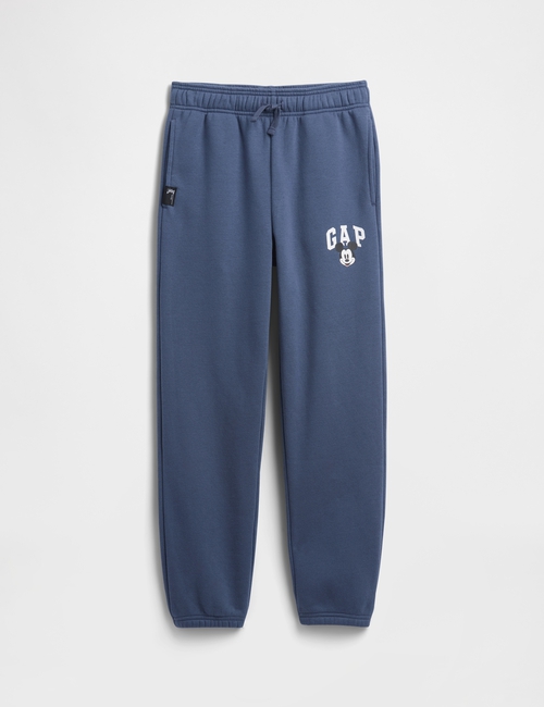 V-DIS FAM FALL LOGO JOGGER