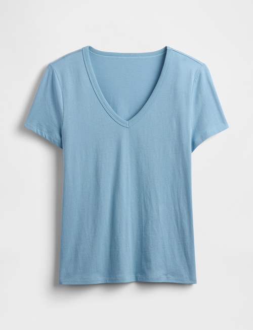 Favorite V-Neck T-Shirt