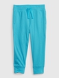 Toddler Mix and Match Pull-On Pants