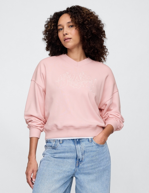 Vintage Soft French Terry Wedge V-Neck Sweatshirt