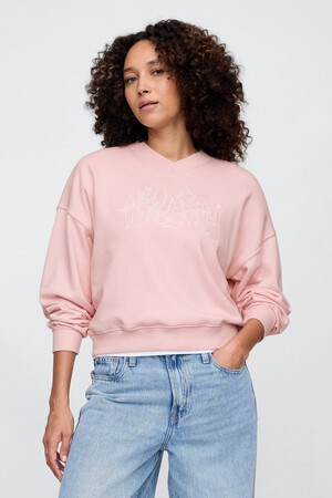 Vintage Soft French Terry Wedge V-Neck Sweatshirt