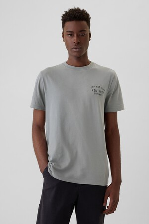 Everyday Soft Gap Graphic T-Shirt