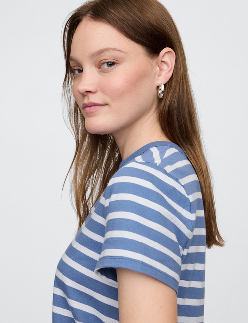 Favorite Stripe Crewneck T-Shirt