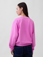 French Terry Raglan Logo Sweatshirt