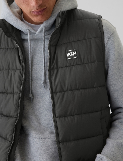ColdControl Puffer Vest