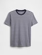 V-EVERYDAY SOFT CREW - STRIPE