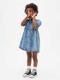 Baby & Toddler Denim Ruffle Dress