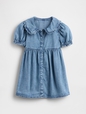 Baby & Toddler Denim Ruffle Dress