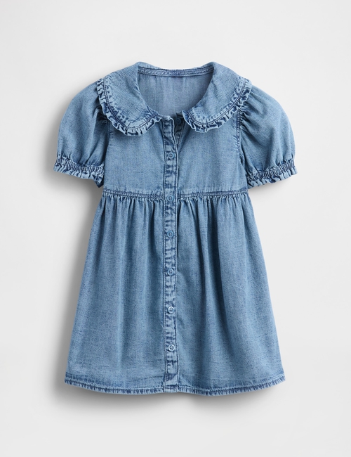 Baby & Toddler Denim Ruffle Dress
