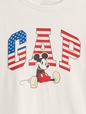 V-DIS FAM AMERICANA LOGO TEE