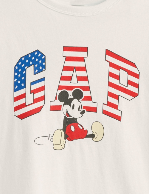 V-DIS FAM AMERICANA LOGO TEE