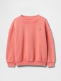 Baby & Toddler VintageSoft Sweatshirt