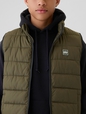ColdControl Puffer Vest