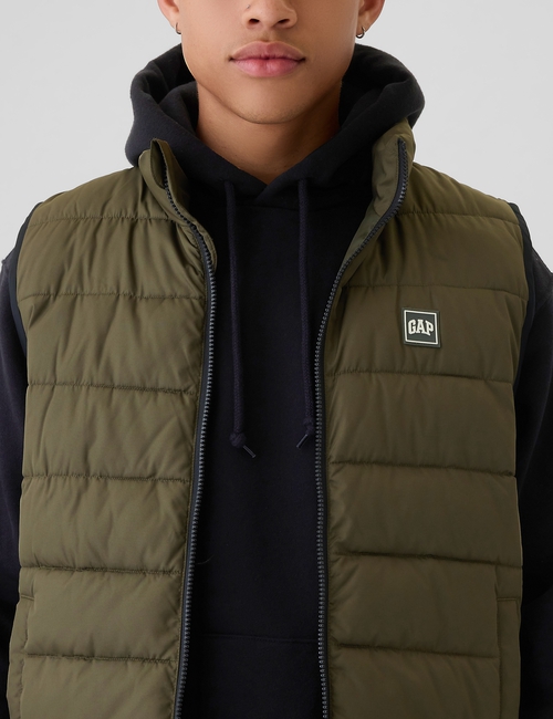 ColdControl Puffer Vest