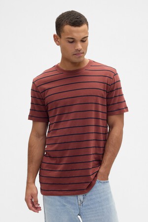 Everyday Soft Stripe Crewneck T-Shirt