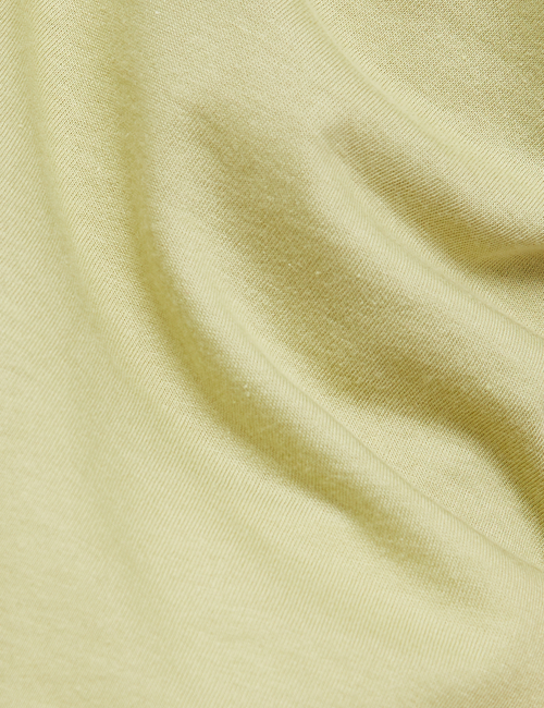 Favorite V-Neck T-Shirt