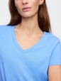 Favorite V-Neck T-Shirt