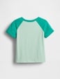 babyGap Logo Colorblock T-Shirt