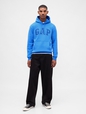 Adult VintageSoft Arch Logo Hoodie