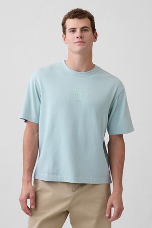 Heavyweight Relaxed 1969 Logo Crop T-shirt