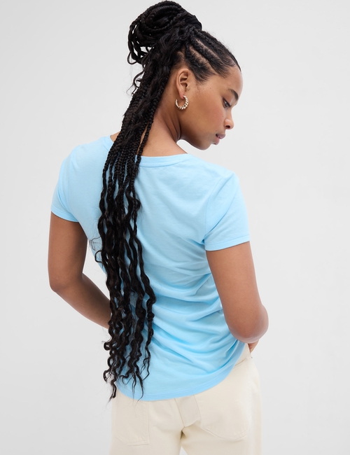 Favorite V-Neck T-Shirt