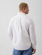 Oxford Shirt in Standard Fit