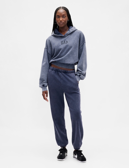 VintageSoft Crop Logo Hoodie
