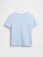 V-BF SS GR TEE BDAY