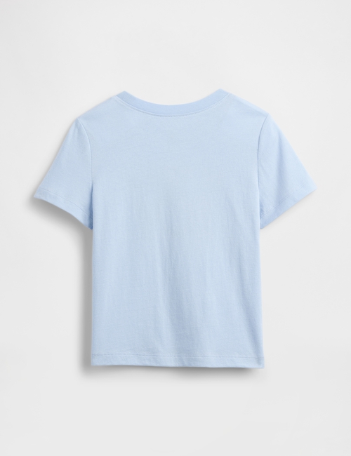 V-BF SS GR TEE BDAY