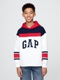 Vintage Soft French Terry Colorblock Logo Hoodie