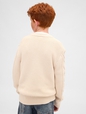 Kids Cable-Knit Crewneck Sweater