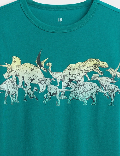 V-DEC SS VAL GRAPHIC