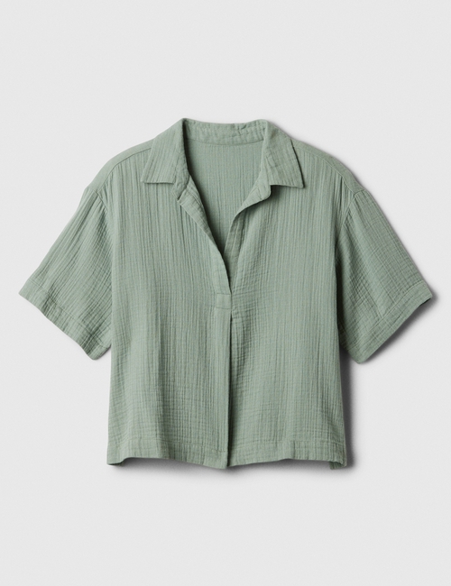 V-SS POPOVER T