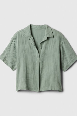 V-SS POPOVER T