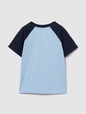 Baby & Toddler Mix & Match Raglan T-Shirt