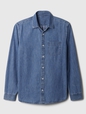 Denim Shirt in Standard Fit