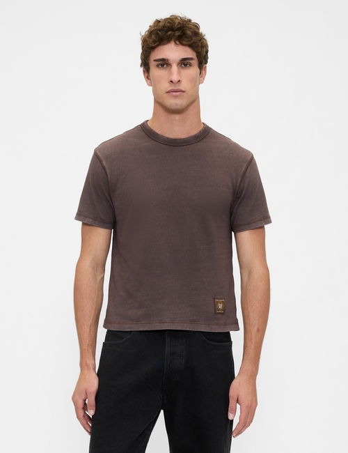 SS WORLD STANDARD CROPPED LOGO T