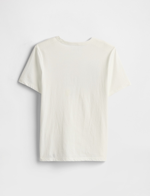 V-DIS FAM AMERICANA LOGO TEE